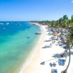 Catalonia Royal Bávaro - Round Trip Shuttle - Punta Cana Airport - The Breakdown: What You Can Expect During Your Transfer