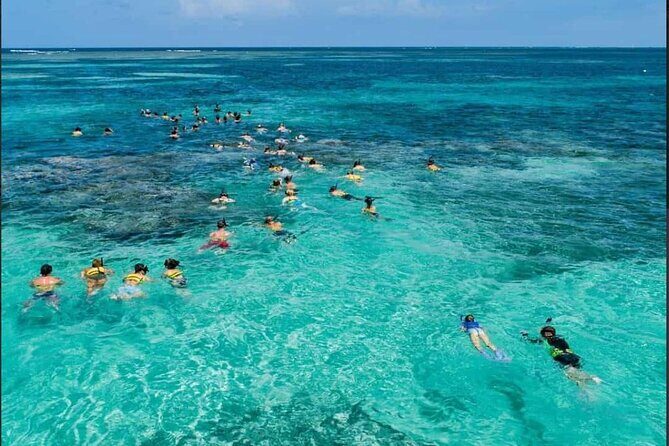 Catamaran and Snorkeling Party with Drink Included in Punta Cana - A Detailed Look at the Tour Experience