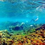 Catamaran Cruise with Dunns River Falls from Montego Bay - Potential Drawbacks or Considerations