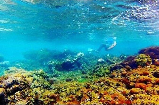 Catamaran Cruise with Dunns River Falls from Montego Bay - Potential Drawbacks or Considerations