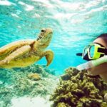 Catamaran cruise with Dunn's River falls from Ocho Rios - An In-Depth Look at the Experience