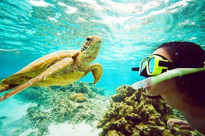 Catamaran cruise with Dunn's River falls from Ocho Rios - An In-Depth Look at the Experience