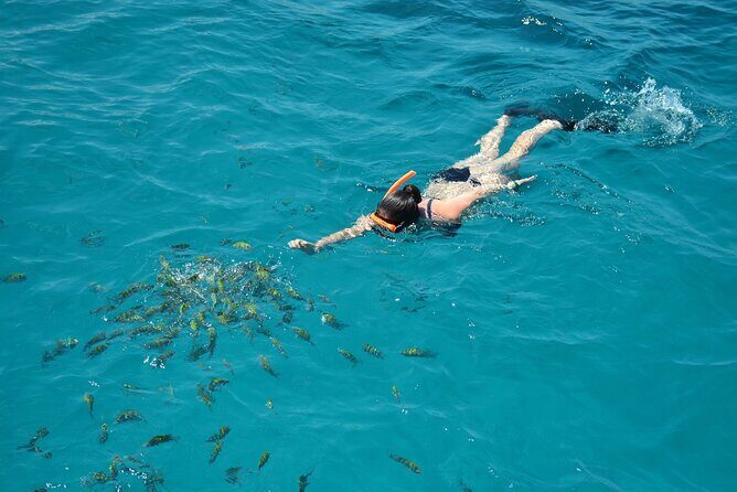 Catamaran Party Cruise To Dunns River Falls - What Travelers Say