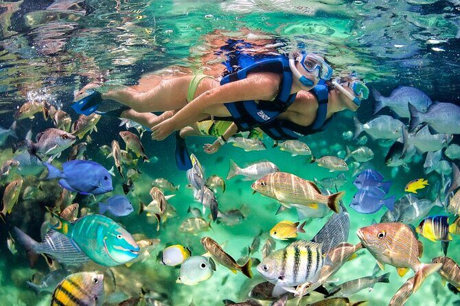 Catamaran party in Punta Cana with open bar, music and more - FAQ