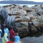 Catamaran Tour through the Beagle Channel in Ushuaia - Who Will Appreciate This Tour?