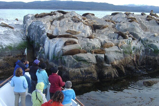 Catamaran Tour through the Beagle Channel in Ushuaia - Who Will Appreciate This Tour?