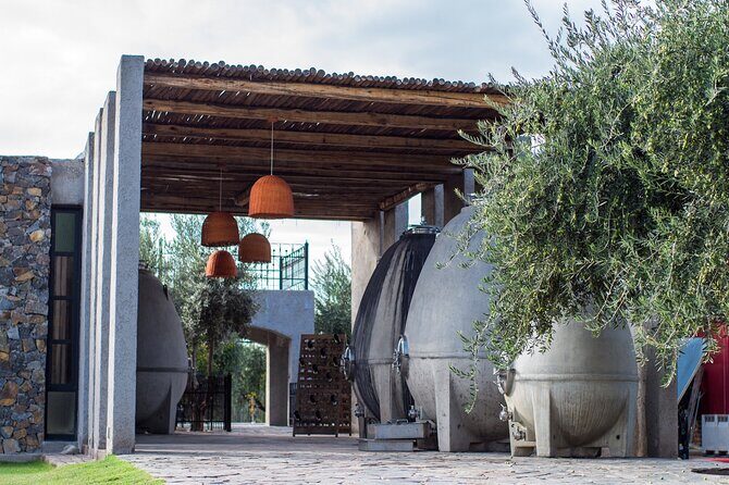 Catena Zapata Winery + Lunch The Enemy. Private transportation. - The Sum Up: Who Should Consider This Tour?