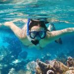 Catlina Island | Free Diving and Transportation - Who This Tour Is Best For