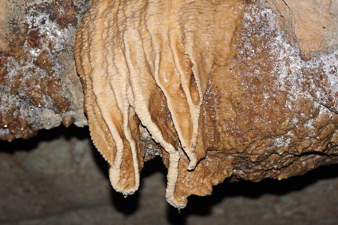 Cave Tubing and Zip line Combo Tour from Belize City with Belizean Lunch Special - Authenticity and Guided Experience