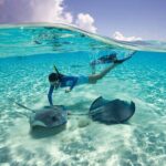 Cayman 3 in 1 Adventure Reef Snorkeling, Starfish and Stingrays - Practical Details: What Travelers Can Expect