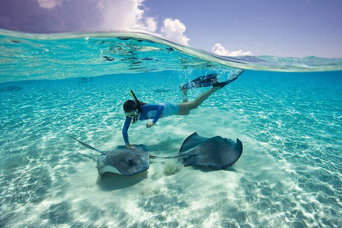 Cayman 3 in 1 Adventure Reef Snorkeling, Starfish and Stingrays - Practical Details: What Travelers Can Expect
