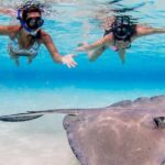 Cayman Adventure: Starfish Point, Stingray City and Coral Gardens - Who Would Love This Tour?