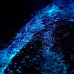 Cayman Bioluminescent Bay Night Tour - Who Will Love This Tour?