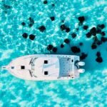 Cayman Private Luxury Charters - Stingray City, Snorkel, & More - What to Expect from the Experience