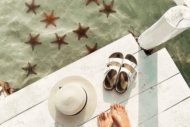 Cayman Ultimate Tour: Stingrays, Starfish Point and Crystal Caves - The Sum Up