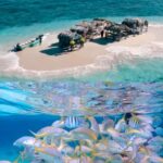 Cayo Arena: Paradise Island & Magroves Tour Private - Who Should Consider This Tour?