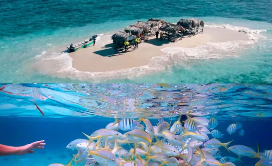 Cayo Arena: Paradise Island & Magroves Tour Private - Who Should Consider This Tour?