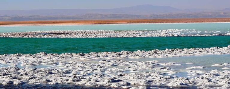 CEJAR LAGOON, OJOS DEL SALAR AND TEBINQUINCHE LAGOON - An In-Depth Look at the Tour Experience