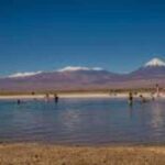 CEJAR LAGOON, SALT EYES AND TEBINQUINCHE LAGOON - Exploring the Wonders of Salar de Atacama