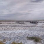 Cejar Lagoon - Tour : San Pedro de Atacama - Chile - Who Should Consider This Tour?