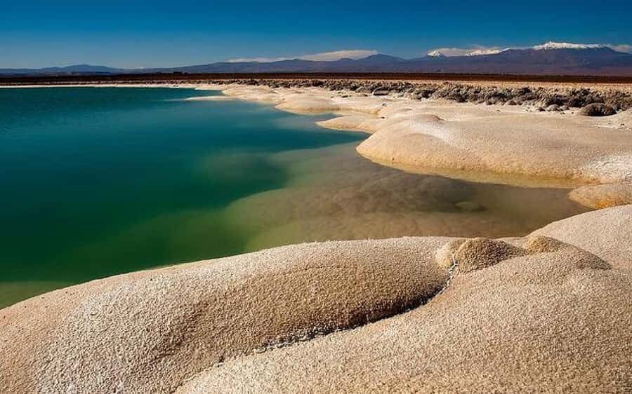 Cejar & Tebenquiche Lagoons Tour with Ojos del Salar Atacama - Balancing the Experience: Pros and Cons