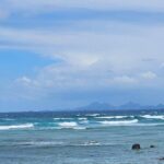 Celebrity Island Adventure Tours - Exploring the Details: A Thorough Review of Celebrity Island Adventure Tours