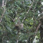 Celeste River Guided hike - Who Should Consider This Tour?