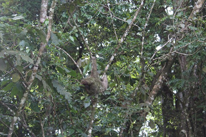 Celeste River Guided hike - Who Should Consider This Tour?