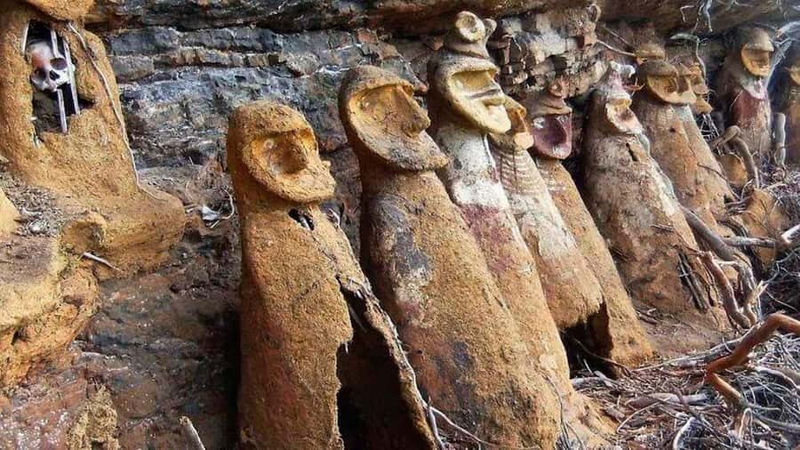 Chachapoyas: Carajía Sarcophagi and Quiocta Caves Day Tour - Exploring the Highlights: A Deep Dive into the Tour
