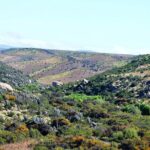 Charm Valley Archaeological Tour, Shamanism and Petroglyphs - Practical Details and Value
