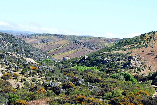 Charm Valley Archaeological Tour, Shamanism and Petroglyphs - Practical Details and Value