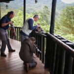 Chicaque Cloud Forest Birding - Final Thoughts: Is It Worth It?