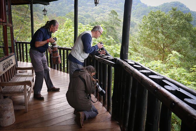 Chicaque Cloud Forest Birding - Final Thoughts: Is It Worth It?