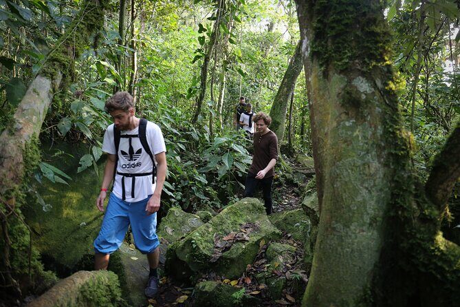 Chicaque Cloud Forest Hike - Why This Tour Offers Great Value