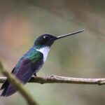 Chicaque National Park - Who Will Love This Tour?