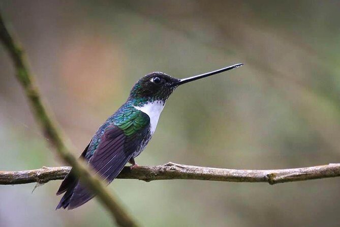 Chicaque National Park - Who Will Love This Tour?