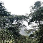 Chicaque Natural Park - Hiking or Birdwatching experience - FAQ