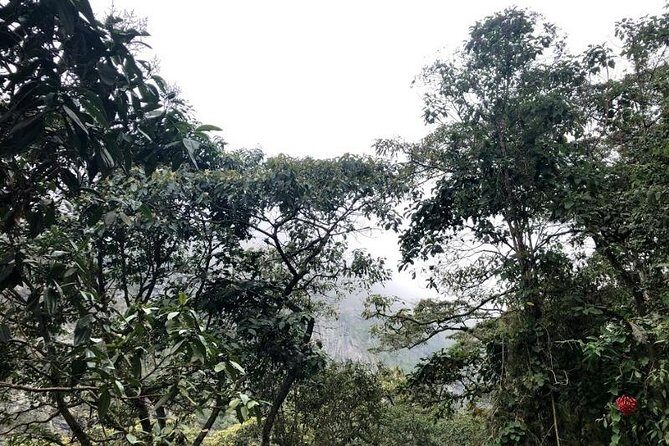 Chicaque Natural Park - Hiking or Birdwatching experience - FAQ