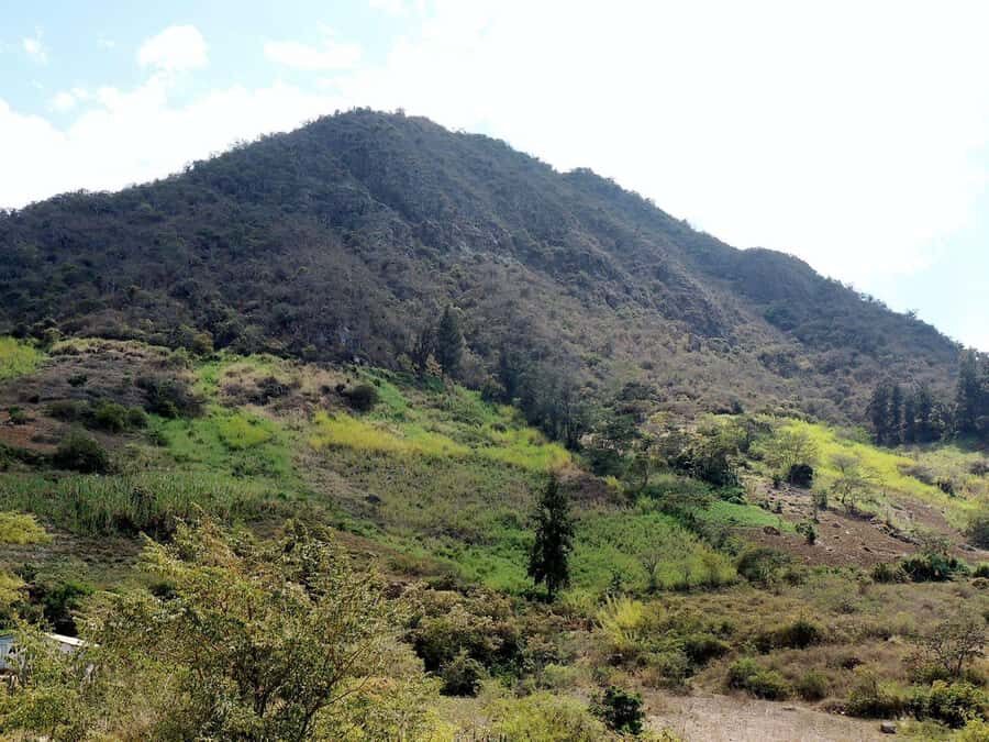 Chiclayo: Chaparri Ecological Reserve Tour - The Sum Up