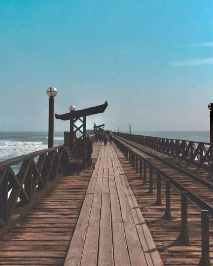 Chiclayo: Pimentel Coastal Wonders & Ostrich Farm Tour - What Makes This Tour Stand Out?