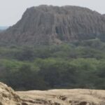 Chiclayo: Pomac Forest Historic Sanctuary & Sican Museum - The Experience in Detail: What to Expect