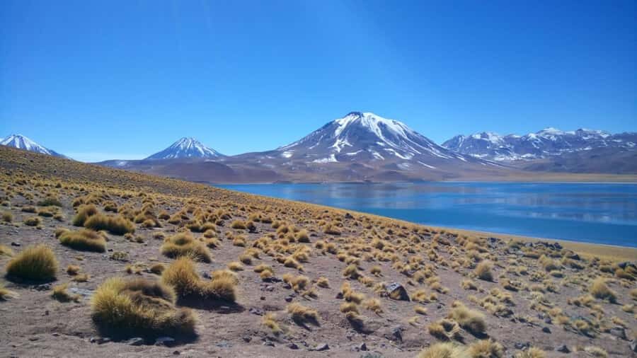 Chile: Tour Red stones + Altiplanic Lagoons + Laguna Chaxa - Practicalities and Value