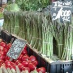 Chilean Cooking Class in Santiago with Wine Pairings - Who Will Love This Experience?