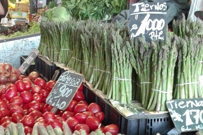 Chilean Cooking Class in Santiago with Wine Pairings - Who Will Love This Experience?