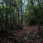 Chiloe National Park and Chonchi "Darwin Route" - What We Think About the Price and Value