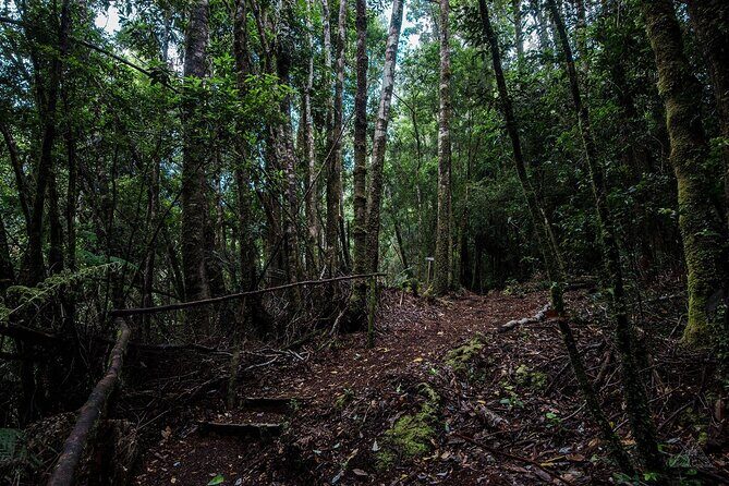 Chiloe National Park and Chonchi "Darwin Route" - What We Think About the Price and Value