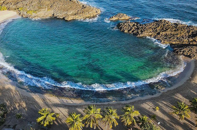 Chinchorreo Bar Hopping Tour from San Juan by DUHO - What You Should Know Before Booking