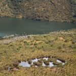 Chingaza Siecha & Cuchillas Lakes Trek - Who Is This Tour Best For?