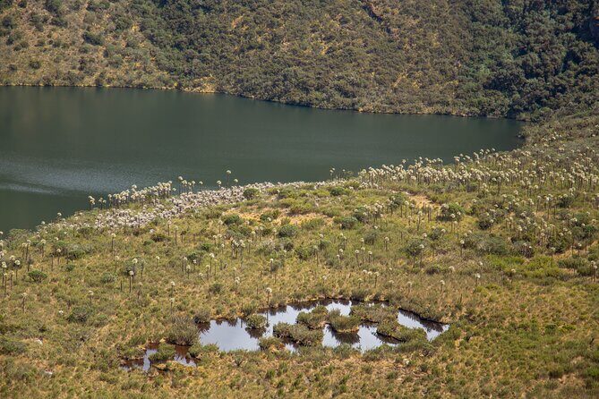 Chingaza Siecha & Cuchillas Lakes Trek - Who Is This Tour Best For?