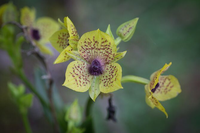 Chingaza Wildlife Páramo Adventure - FAQ